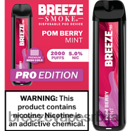 Breeze Pro 2000 пуффс HZ0HTV17 пом бобица нане - Breeze Vape Products