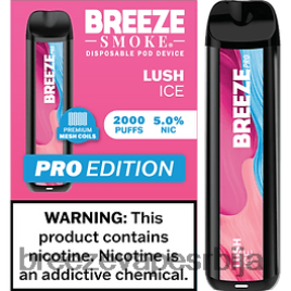 Breeze Pro 2000 пуффс HZ0HTV22 бујни лед - Breeze Vape Near Me