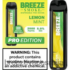 Breeze Pro 2000 пуффс HZ0HTV23 лимунова мента - Breeze Vape Price