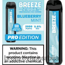 Breeze Pro 2000 пуффс HZ0HTV33 мента боровнице - Breeze Vape Price